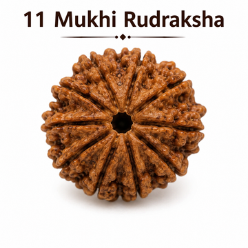 11 मुखी रुद्राक्ष