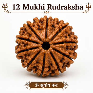 12 मुखी रुद्राक्ष