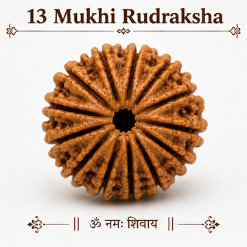 13 मुखी रुद्राक्ष